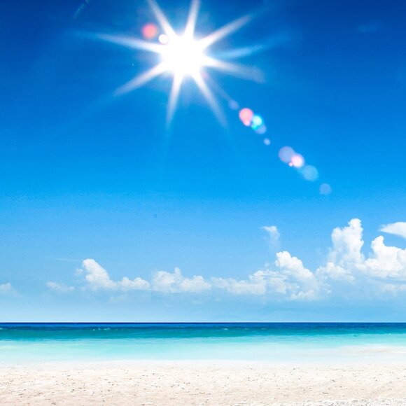 Meet your Posher, Mary - Picture 2 of 2